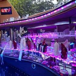 Jaguar Limousine - Wit 9