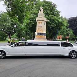 Jaguar Limousine - Wit 7